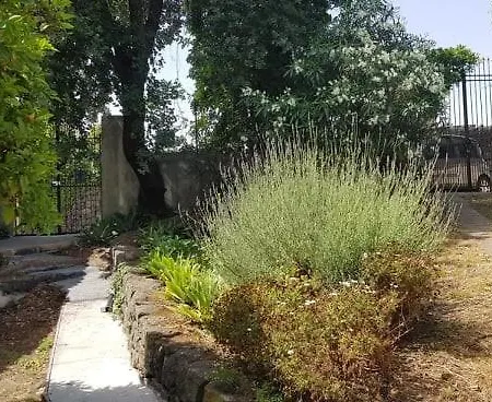 Holiday home L'aranceto Acireale