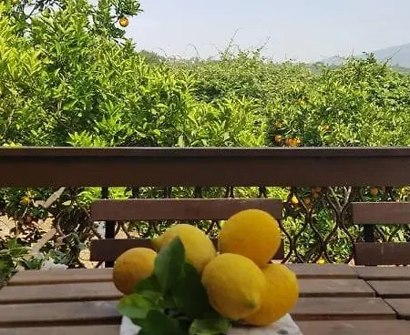 Holiday home L'aranceto Acireale