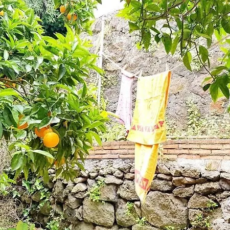 L'aranceto Acireale