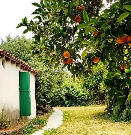 Holiday home L'aranceto *
