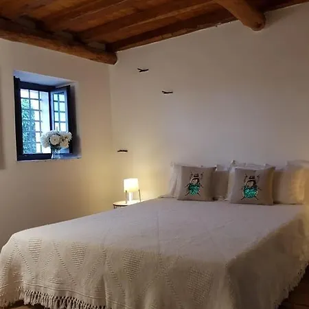 L'aranceto *