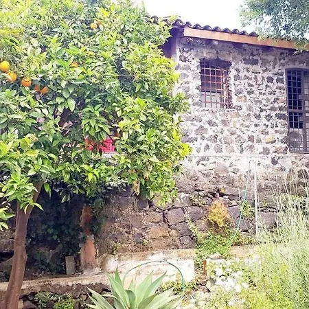 L'aranceto