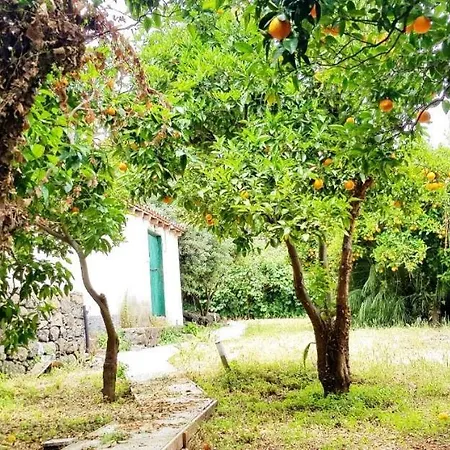 L'aranceto Vakantiehuis *